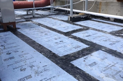 守護生命健康,卓寶助力新冠中和抗體研發企業生產基地建設!